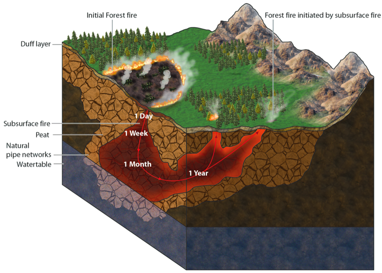 Why are the 'Zombie' fires in Siberia a ticking climate bomb?